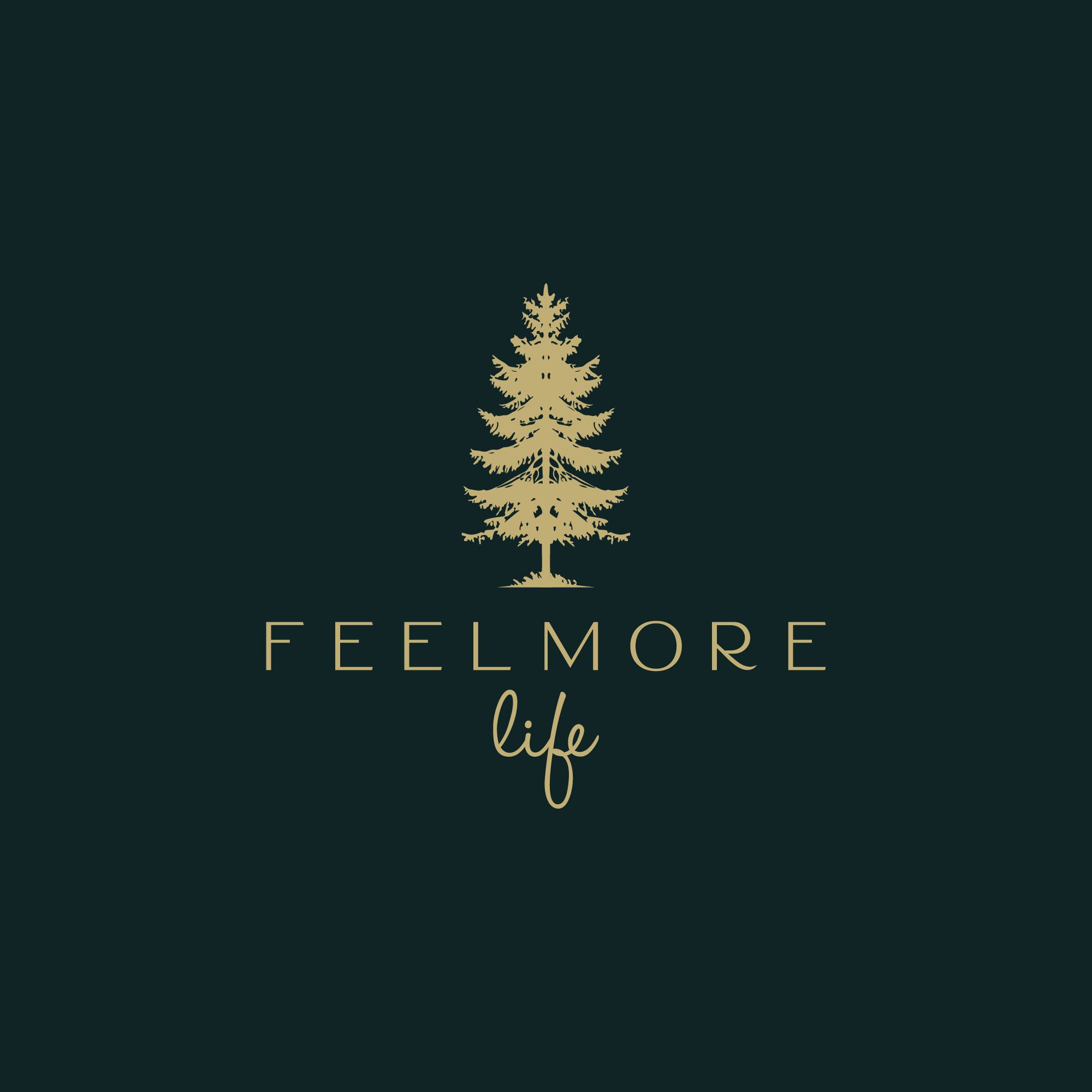 FeelMore